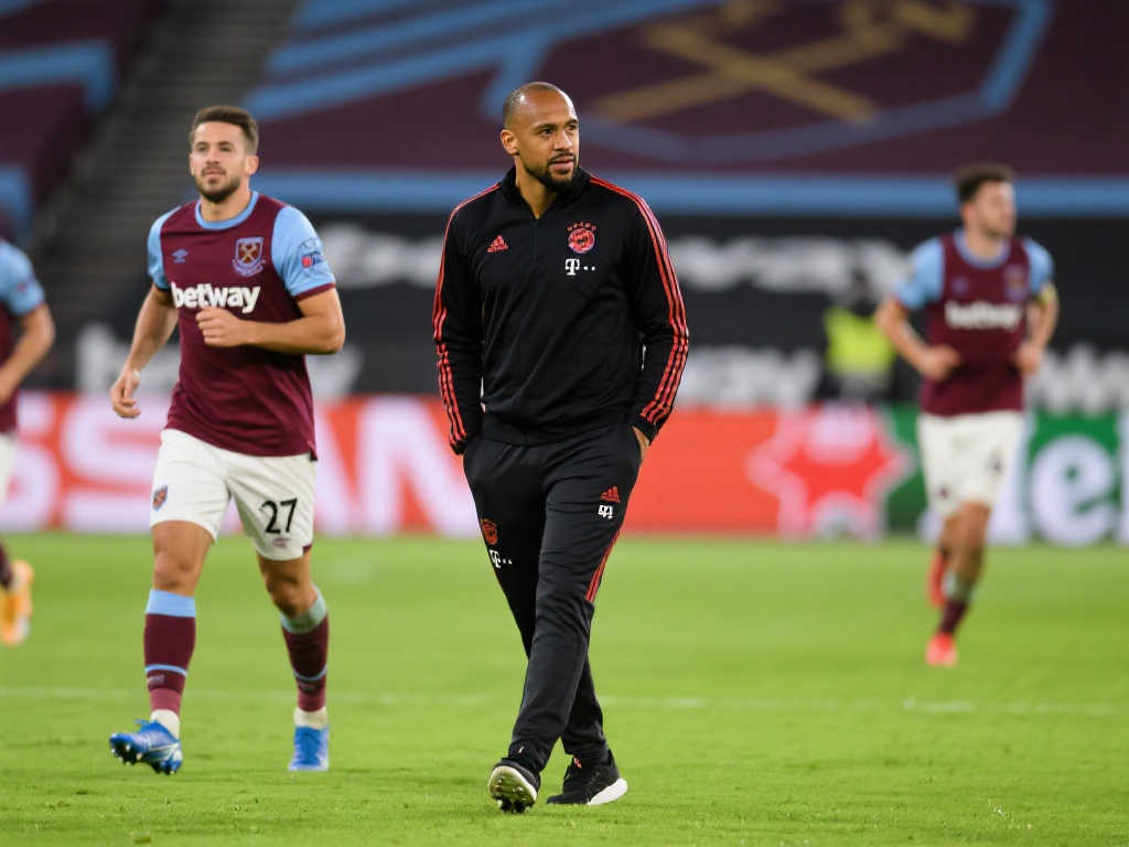 重回巅峰 重回巅峰