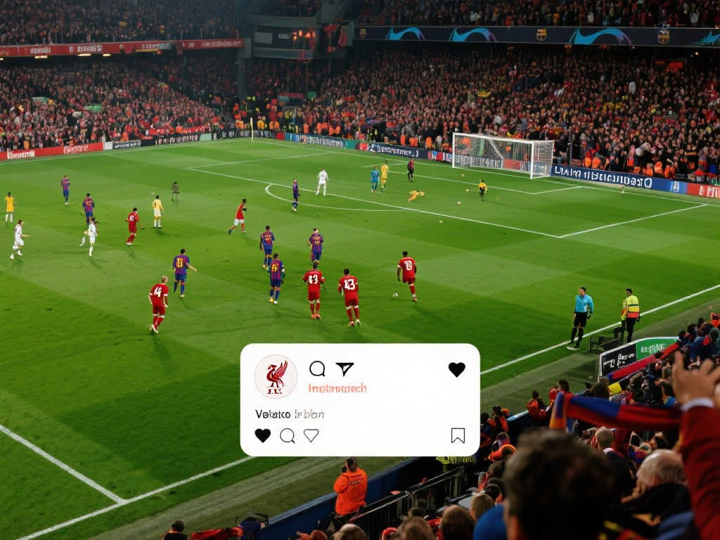 不会因为困 不会因为困